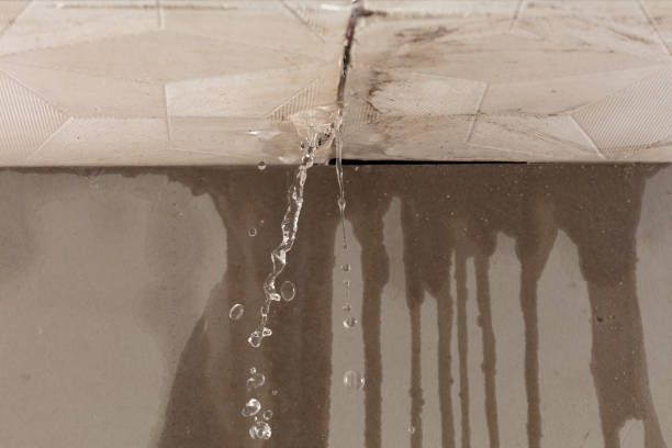 Professional Burst Pipe Cleanup technician working in Collierville, TN